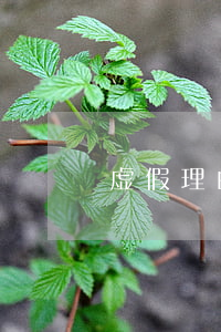 虚假理由借多少钱算诈骗