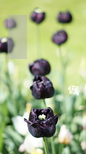 虛假宣傳的認定及處罰