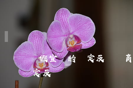 虛假宣傳的認定及處罰(商品房虛假宣傳的認定及處罰)