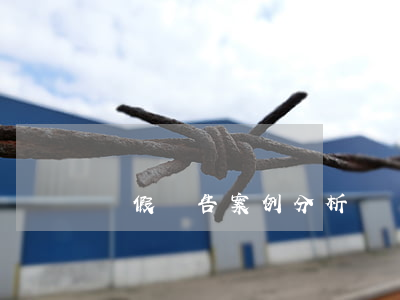 虛假廣告案例分析