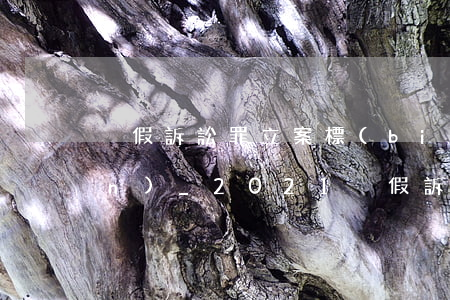 虛假訴訟罪立案標(biāo)準(zhǔn)_2021虛假訴訟罪量刑標(biāo)準(zhǔn)和認(rèn)定構(gòu)成要件