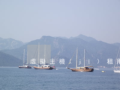 虛擬主機(jī)租用合同