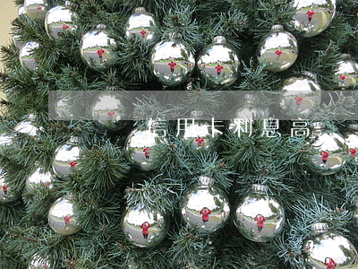 虛擬信用卡利息高嗎
