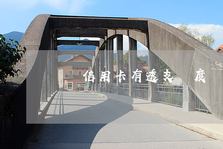 虛擬信用卡有透支額度嗎(信用卡有虛擬卡嗎)