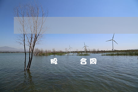 虛擬股獎勵合同
