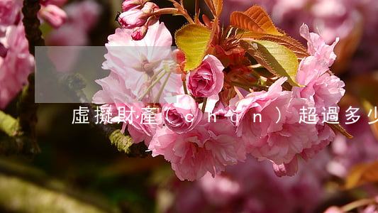 虛擬財產(chǎn)超過多少受理