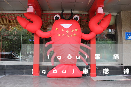 虛構(gòu)事實借錢不還是詐騙嗎（虛構(gòu)事實借錢被起訴）