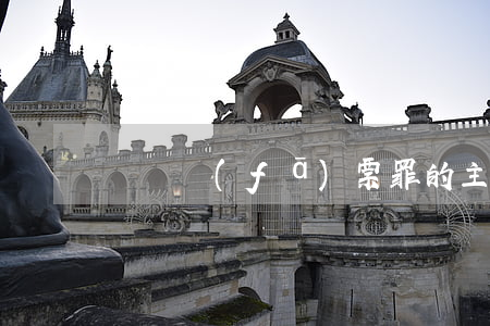 虛開發(fā)票罪的主體是誰