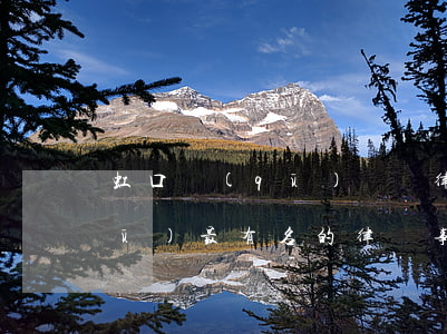 虹口區(qū)債務律師哪個好(虹口區(qū)最有名的律師事務所)