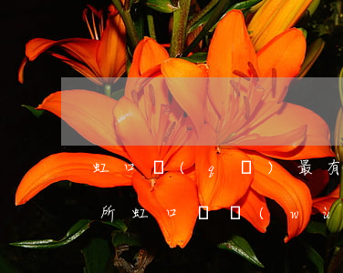 虹口區(qū)最有名的律師事務(wù)所（虹口債務(wù)律師哪家強(qiáng)）