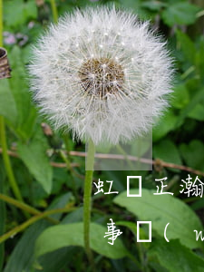 虹橋正瀚律師事務(wù)所(虹橋正瀚律師事務(wù)所倪偉)
