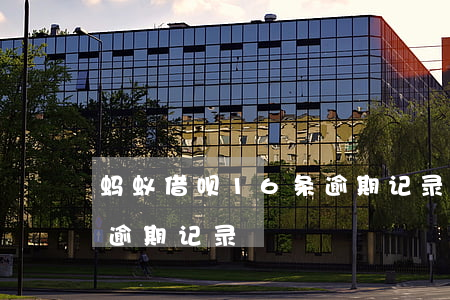 蚂蚁借呗16条逾期记录(支付宝如何查借呗逾期记录)