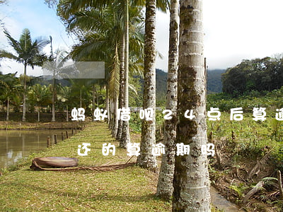 蚂蚁借呗24点后算逾期(借呗晚上11点多还的算逾期吗)