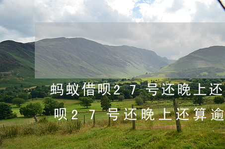 蚂蚁借呗27号还晚上还算逾期吗-蚂蚁借呗27号还晚上还算逾期吗怎么办