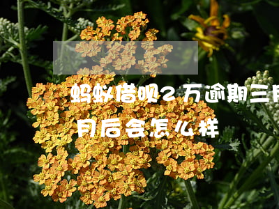 蚂蚁借呗2万逾期三月了(借呗2万逾期3个月后会怎么样)