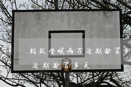 蚂蚁借呗两万逾期四百多天(支付宝借呗一万逾期四百多天)