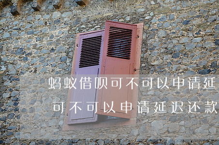 蚂蚁借呗可不可以申请延迟还款-蚂蚁借呗可不可以申请延迟还款呢