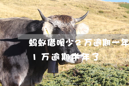 蚂蚁借呗少2万逾期一年了(支付宝借呗逾期1万,逾期半年了)