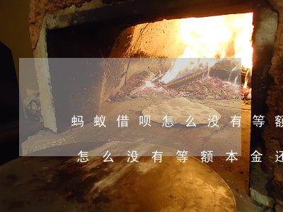 蚂蚁借呗怎么没有等额本金还款-蚂蚁借呗怎么没有等额本金还款了