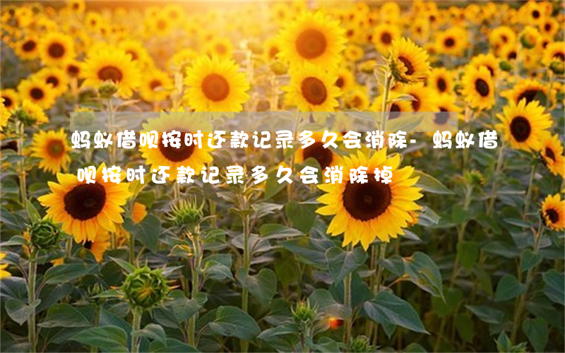 蚂蚁借呗按时还款记录多久会消除-蚂蚁借呗按时还款记录多久会消除掉