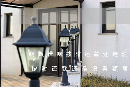 蚂蚁借呗按时还款还是没有额度-蚂蚁借呗按时还款还是没有额度怎么办
