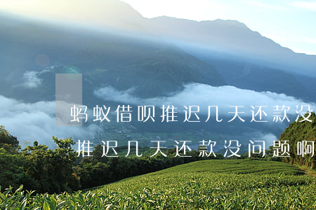 蚂蚁借呗推迟几天还款没问题啊-蚂蚁借呗推迟几天还款没问题啊怎么回事