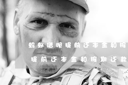蚂蚁借呗提前还本金和按期还款-蚂蚁借呗提前还本金和按期还款哪个划算