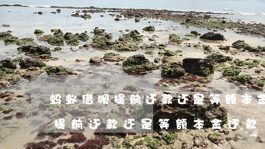 蚂蚁借呗提前还款还是等额本金-蚂蚁借呗提前还款还是等额本金还款