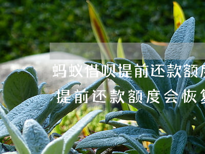 蚂蚁借呗提前还款额度会恢复么-蚂蚁借呗提前还款额度会恢复么吗