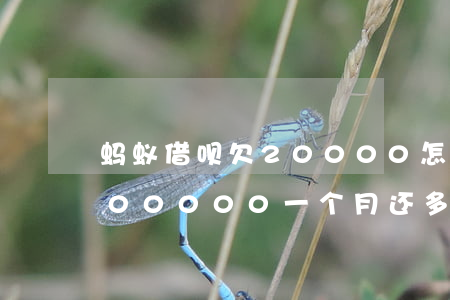 蚂蚁借呗欠20000怎么还(蚂蚁借呗借100000一个月还多少)