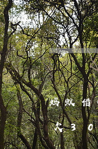蚂蚁借呗欠3000会被起诉吗-蚂蚁借呗欠3000会被起诉吗知乎