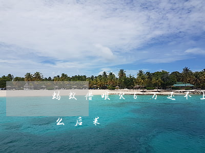 蚂蚁借呗欠6万还不上(借呗6万还不起了什么后果)