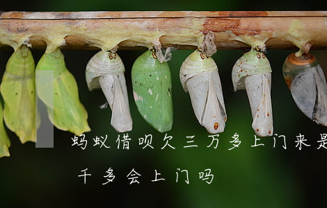 蚂蚁借呗欠三万多上门来是真的吗(欠借呗一千多会上门吗)