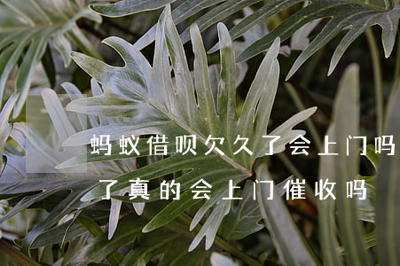 蚂蚁借呗欠久了会上门吗(支付宝借呗逾期久了真的会上门催收吗?)