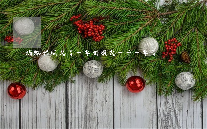 蚂蚁借呗欠了一年(借呗欠一千一年了)