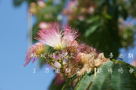 蚂蚁借呗欠了两万多逾期半年(蚂蚁借呗欠款2万逾期会被起诉吗?每个月有还)