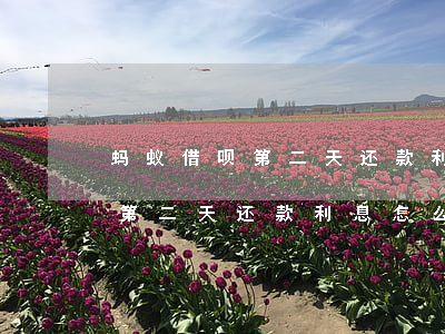 蚂蚁借呗第二天还款利息怎么算-蚂蚁借呗第二天还款利息怎么算的
