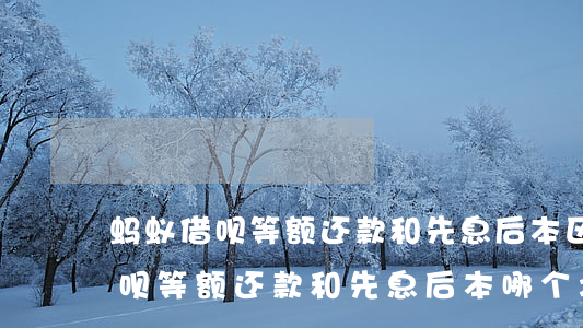 蚂蚁借呗等额还款和先息后本区别-蚂蚁借呗等额还款和先息后本哪个划算