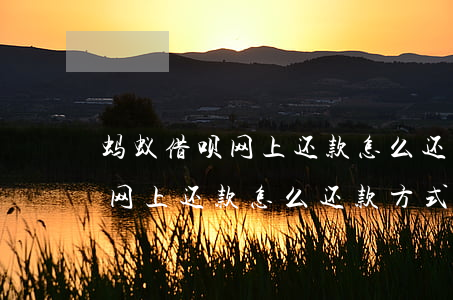 蚂蚁借呗网上还款怎么还款方式-蚂蚁借呗网上还款怎么还款方式呢