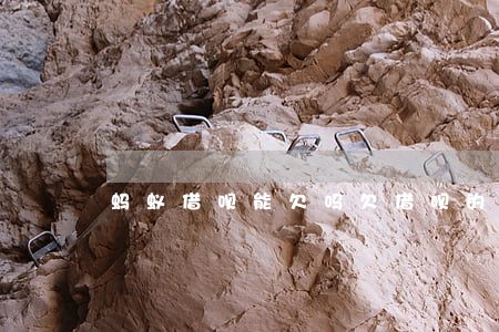 蚂蚁借呗能欠吗(欠借呗的钱不还行吗)