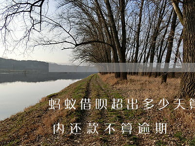 蚂蚁借呗超出多少天算逾期(支付宝借呗几天内还款不算逾期)