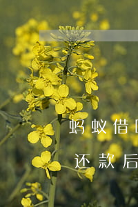 蚂蚁借呗还款后为什么不能借了-蚂蚁借呗还款后为什么不能借了呢