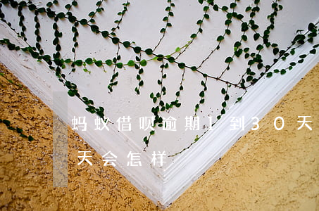蚂蚁借呗逾期1到30天(蚂蚁借呗逾期90天会怎样)