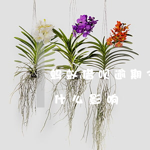 蚂蚁借呗逾期30天以下(借呗逾期30天有什么影响)