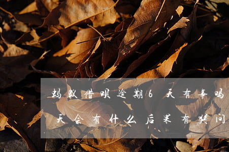 蚂蚁借呗逾期6天有事吗(支付宝借呗逾期5天会有什么后果?,有奖问答)