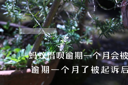 蚂蚁借呗逾期一个月会被起诉吗(支付宝借呗逾期一个月了,被起诉后会怎样)