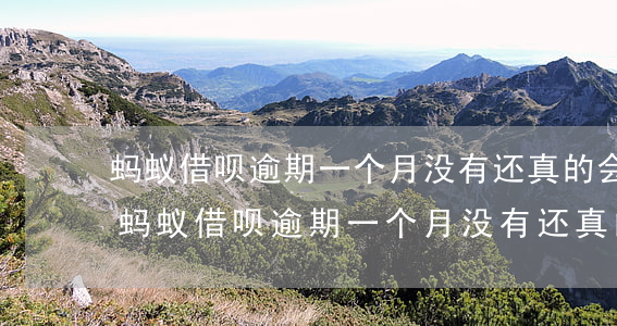 蚂蚁借呗逾期一个月没有还真的会上门吗-蚂蚁借呗逾期一个月没有还真的会上门吗