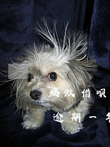 蚂蚁借呗逾期一年后还款后结会怎么样（借呗逾期一年后再还款）
