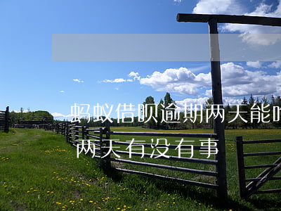 蚂蚁借呗逾期两天能咋的(支付宝借呗逾期一两天有没有事?)