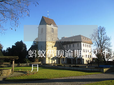 蚂蚁借呗逾期了2个月（支付宝借呗逾期二个月）